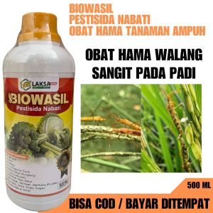 Pembasmi Hama Walang Sangit Pada Padi Paling Ampuh Biowasil Mampu Mengusir Hama Walang Sangit pada Tanaman Padi Pupuk Pengendali Hama Walang Sangit Pada Padi Paling Ampuh dan Tokcer isi 500 ML