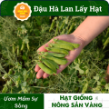 Hạt giống Đậu Hòa Lan (Đậu Hà Lan) Ăn Hạt ( Lấy Hạt) Rất Nhiều Dinh Dưỡng Và Vitamin, Chế Biến Thành Rất Nhiều Món Ăn (Gói 20 Gram) - Nông Sản Vàng. 