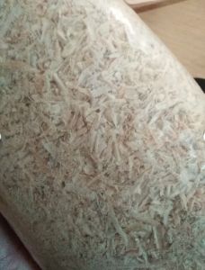 Serbuk kayu hamster / Serbuk kayu hamster 1kg murah / Serbuk kayu hamster wangi / Serbuk kayu hamster wangi murah / Serbuk kayu hamster chipsi / Serbuk kayu hamster 500g Serbuk kayu hamster halus / Serbuk kayu hamster 1kg / serbuk kayu alas hamster