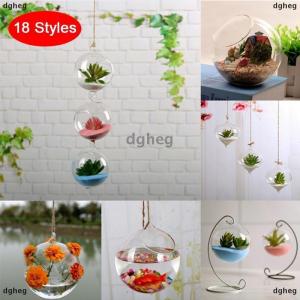 [COD] dgheg Hanging Transparent Ball Flower Planter Vase Terrarium Landscape Container