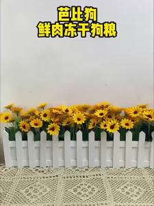 2025 IKOIC Freeze-Dried Dog Food Universal Type for Puppies And Adults Small Dogs Teddy Bichon Chinese Dogs Corgi Beautiful Hair Skin Care