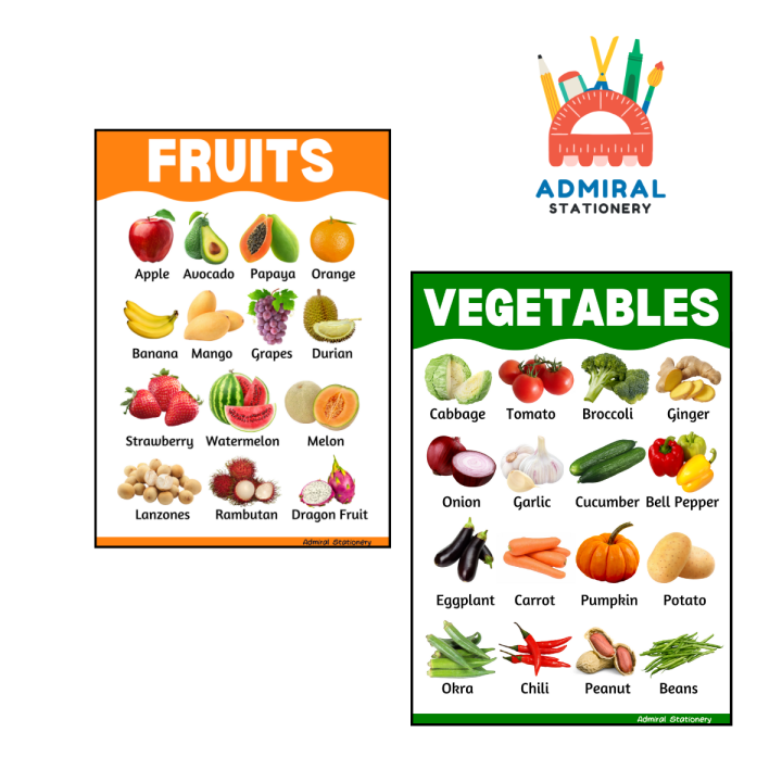 Kids A4 Laminated Wall Chart Fruits Vegetables | Lazada PH