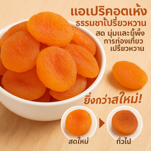 ของว่างลําลองรวมแอปริคอตแห้ง ผลไม้แห้งหวานอมเปรี้ยวหลากหลายรสชาติ