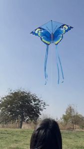 Long Tail Cartoon Kite with 50 Meter Handle Line Kuromi Capybara Kite for Children Adult Flying Toys