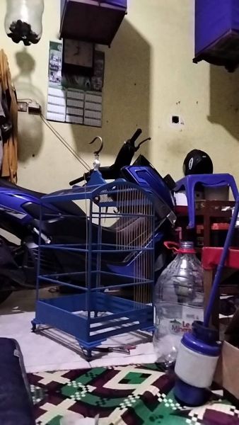 Buyer review video 2