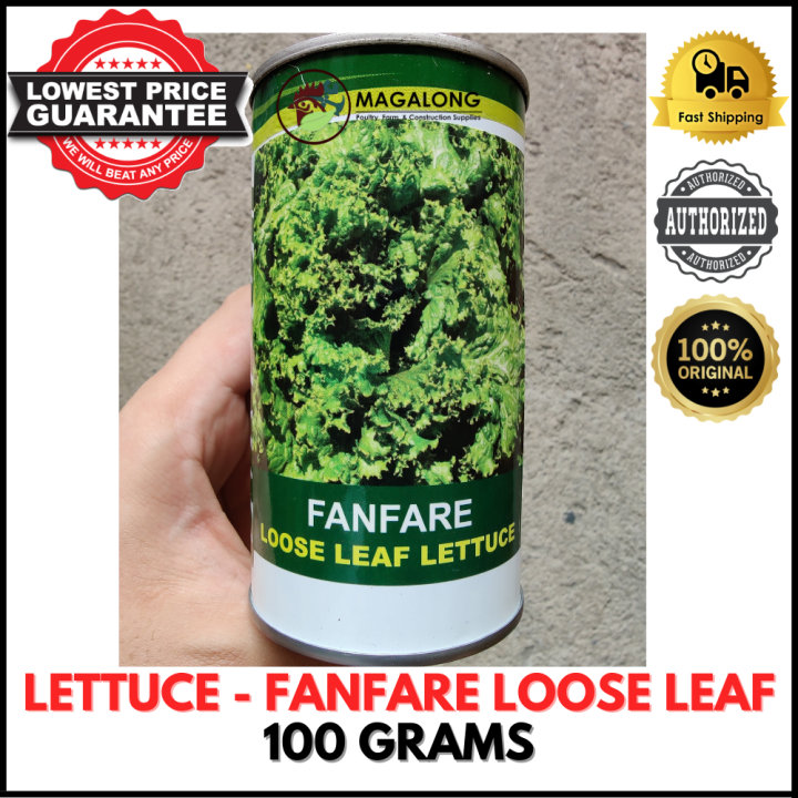 CONDOR SEEDS LETTUCE SEEDS FANFARE LOOSE LEAF LETTUCE 100 GRAMS
