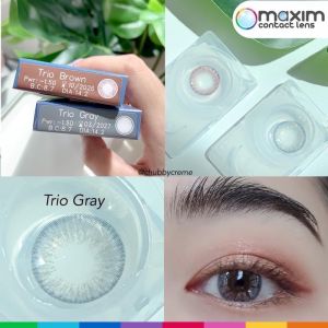 กล่องน้ำเงิน Trio Gray Brown สีเทา สีน้ำตาล เลนส์สี Maxim คอนแทคเลนส์ Contact Lens โทนธรรมชาติ สายตา -12.00 มินิ ทรีโทน