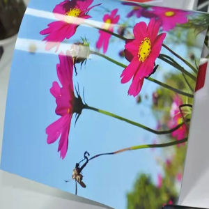 24"*50m High glossy inkjet photo paper for dye inkjet printer