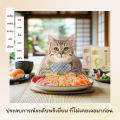 COUCOU VEV อาหารเปียกแมว อาหารลูกแมว อาหารแมวโต อาหารแมวสูงวัย สูตรใหม่ ขนาด 75g. 