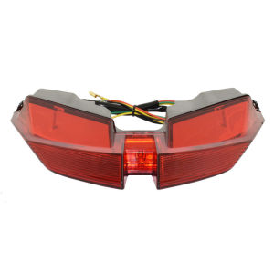 Motorbike For Ducati Hypermotard 821 939 950 SP 2012-2021 E-Mark Rear Tail Light Brake Turn Signals Integrated LED Light