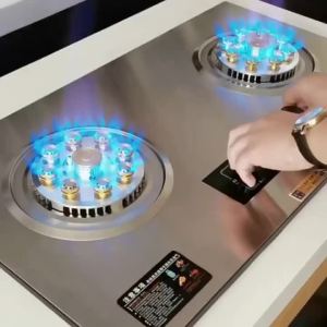 Hob Stove Burner Gas Cooker  Gas Cooker Stove Fire Burner  Cooking Stove Gas Cooker Stove Genuine Goods Burning Desktop Raging Fire Stove  Quality 燃气灶