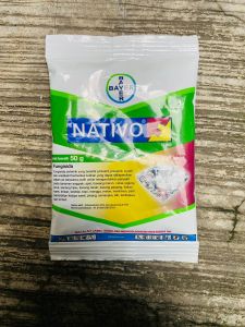 Fungisida Bayer NATIVO 75WG DARI BAYER INDONESIA