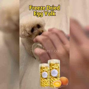 【Millionspet.co】Freeze Dried Egg Yolk Pet Snack Pet Food (Makanan Berkhasiat Gemukkan Kucing Makanan Kucing Snack Kucing)