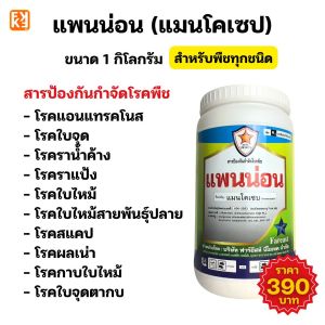 ต้นปาล์ม เป็นโรคจากเชื้อรา ใบไหม้ ใบจุด ยอดเน่า รากเน่า ใช้แพนน่อน หยุดโรค+FK-1 ฟื้นฟู โตไว ผลผลิตดี