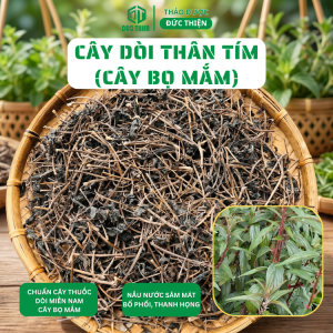 Cây Dòi Thân Tím Thuốc Dòi (Bọ Mắm) Loại 1 (Khô Sạch Thơm) - Trừ Ho Giảm Đau Họng Nước Mát