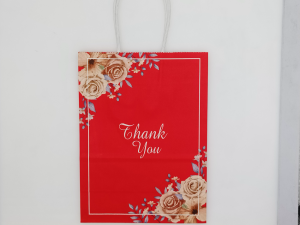 【EONMIR】RM0.36 / 10 Color / Harga Murah / Paper Beg Kenduri Kahwin Paper Gift Beg Paper Beg Thank You Bunga Telur