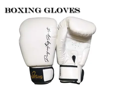 Payantog boxing gloves classic