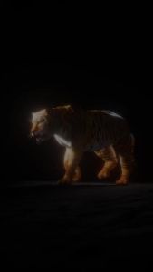 Rayhaan Lion / Rayhaan Tiger by Rayhaan EDP 100ml