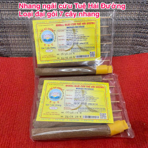 NHANG NGÃI CỨU TUỆ HẢI ĐƯỜNG LOẠI ĐẠI -GÓI 7 CÂY NHANG - ĐẶC ĐIỂM CHÁY LÂU NÓNG BỀN KHÔNG RỚT TÀN
