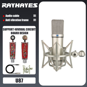 RAYHAYES All-Metal Condenser Microphone for Professional Recording Live Streaming