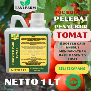 Pupuk Semprot Pelebat TOMAT Pupuk Pelebat TOMAT Pupuk Penyubur TOMAT ZPT
