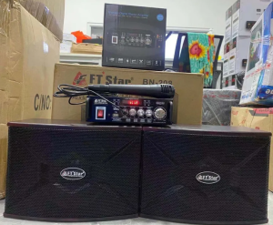 FT STAR BN-208 Micro Component 6 Inches Karaoke Speaker System (Rechargerable Amplifier + Speakers 200W) Set For Home/Outdoor Party