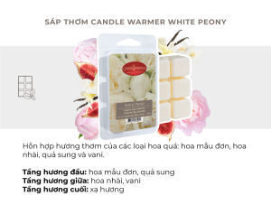 Sáp thơm Candle Warmer (nhiều mùi tùy chọn)