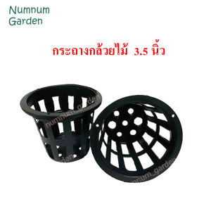 กระถางกล้วยไม้ 3.5นิ้ว กระเช้ากล้วยไม้ กระเช้า กระถางพลาสติก มีรูระบายน้ำรอบ ทำจากพลาสติกเกรด A