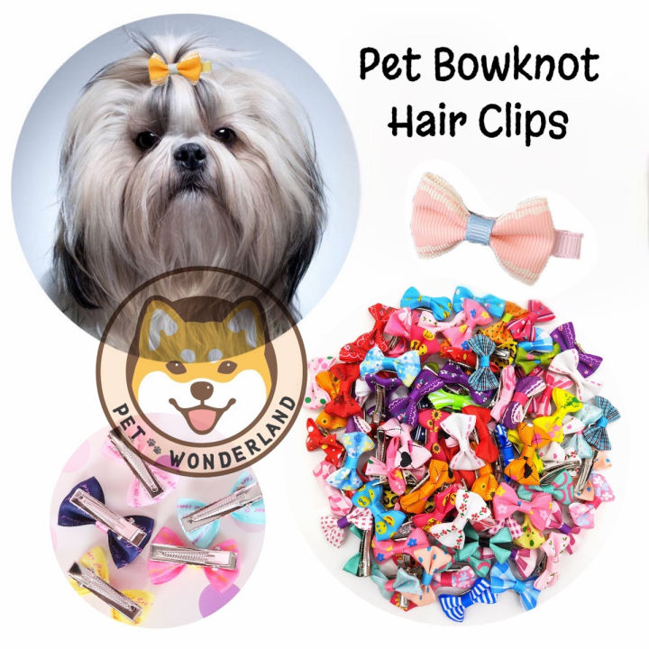 Pet Wonderland Delicate Pet Dog Cat Puppy Bow Tie Flower Bow knot