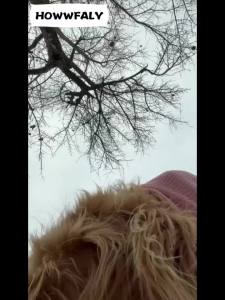 HOWWFALY Dog Halloween Christmas Costume Ear Muffs Noise Protection Knitted Ears Warm Hats Dog Robbers & Thieves Mask FunnyCosplay for Medium Large Dogs(Black Mask)