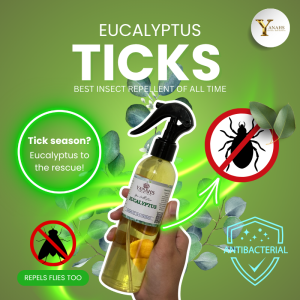 Eucalyptus Insect Repellent Spray – Water-Based Protection from Ticks & Flies