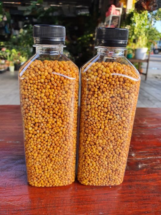 ปุ๋ย 16-16-16 ละลายช้า 4 เดือน บรรจุขวด 0.5 กก.