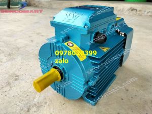 Mô tơ toàn phát 3hp 22kw 1400/p