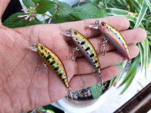 Umpan Lure Minnow 5Gr Light: Panduan Lengkap