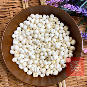 Red Sea Herbs 川贝粒 100g / 川贝粉 50g|止咳化痰|清肺润燥|Chuan Bei / Fritillaria Powder Chuan Bei