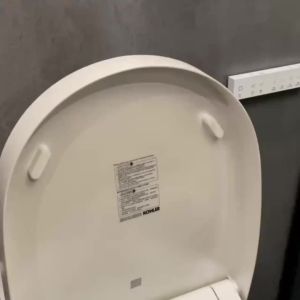 Toilet deodorization stickers Aromatherapy stickers Toilet deodorization stickers Cartoon deodorization fragrant deodorization stickers Toilet deodorizer