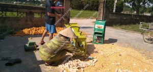 Máy tách hạt ngô gia đình lắp động cơ TOÀN PHÁT Lõi đồng 100%