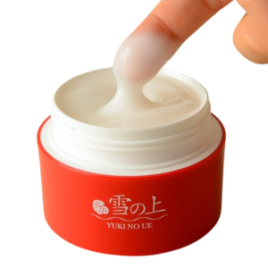 on the snow Quasi-dmg All-in-one gel Contains active ingredient arbutin Makes fine lines less noticeable 80g