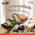 Ucok Toys 3D Model set🐅โมเดลสัตว์ มี12ถึง60ตัว โมเดลสัตว์ป่า โมเดลสัตว์ในฟาร์ม โมเดลสัตว์น้ำ ไดโนเสาร์ ของเล่นเสริมพัฒนาการ ตุ๊กตาสัตว์ของเล่น. 