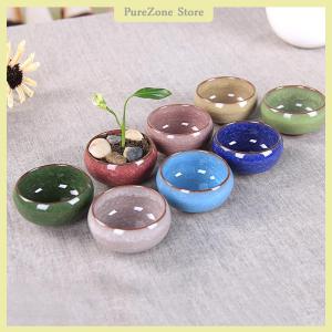 [PureZone] Cute Ice-Crack Glaze Flower s Succulent Planter Mini Plant Pot Home Decor