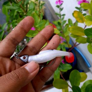Chatterbait & Bonus Soft Lure 8 cm: Umpan Fishing Untuk Gabus