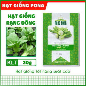 Hạt giống Cải thìa RADO 77 (20g) - Hạt giống Rạng Đông