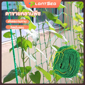 มีสต็อกพร้อมส่งจากไทย ค้างผัก ตาข่ายไนลอนที่ทนทานสำหรับปลูกพืชไม้เลื้อย ตาข่ายปลูกผัก ตาข่ายไม้เลือย ค้างไม้เลื้อย Trellis ตาข่ายสำหรับพืชไม้เลื้อย