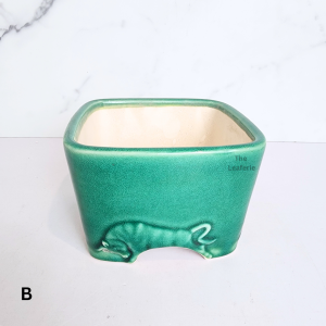 The Leaferie Bonsai Pot (Series 62) Square Plant pot Ceramic Mini Flowerpot Small succulent pots