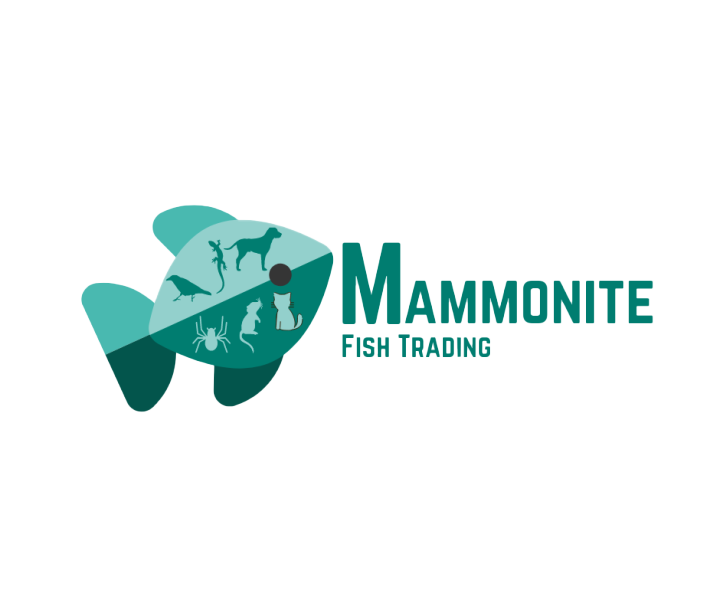 Aquarium Mini Lava Ring Media – High Porosity Bio Filter Lava Ring 250g ...