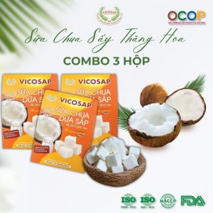 Combo 3 Sữa chua dừa sáp sấy thăng hoa cao cấp VICOSAP ít đường đồ ăn vặt healthy đặc sản Trà Vinh