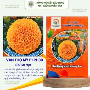 Gói 50 Hạt Vạn Thọ Siêu Lùn F1 PH30 – Cam Đỏ Cao 20–30cm