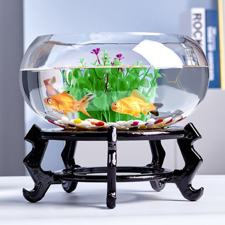 Chậu thủy tinh tròn thấp đường kính 20 - 25 cm nuôi cá cảnh nhỏ, có bán ...