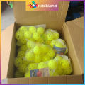 [CMK] Túi Banh Pickleball Loại Tốt Indoor Outdoor 26 Lỗ 40 Lỗ Bóng Pickle Ball Tốt Luyện Tập Thi Đấu. 
