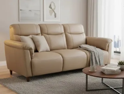 (FurnitureSG) Premium Half Leather Sofa 1 or 2 or 3 Seater